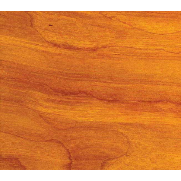 GOUDEY D502 Yellow NGR Stain